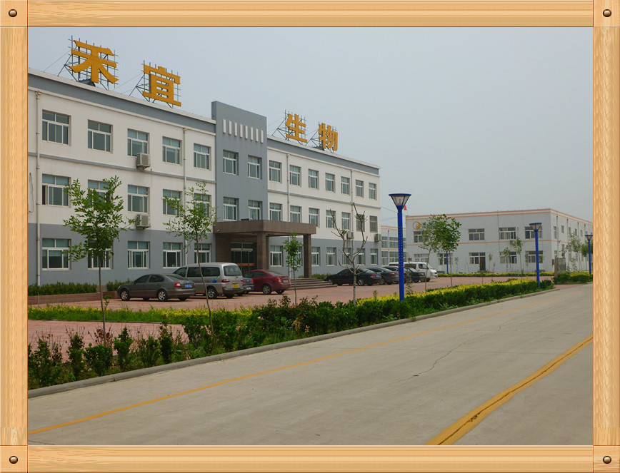 China Weifang Heyi Agrochemical Co.,Ltd Perfil de la compañía